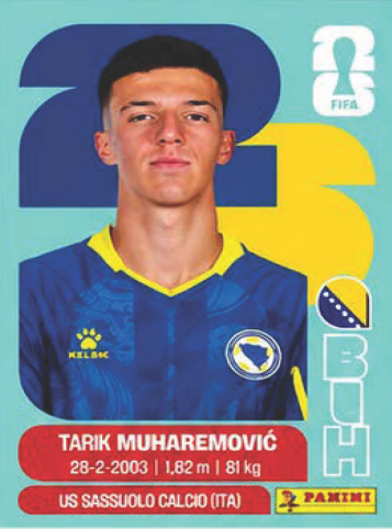 TARIK MUHAREMOVIĆ